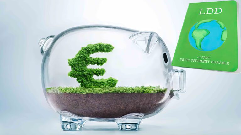 Blog 3 LDDS WUP INTERNATIONAL AI